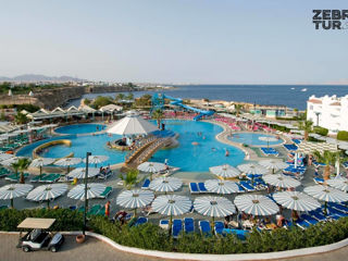 Egipt, Sharm El Sheikh - Dreams Beach Resort 5*