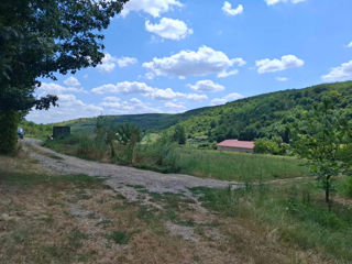 Vindem 1,38 Ha Teren + Casa de Vacanta, Rezervatia Codrilor Raionul Hancesti foto 2