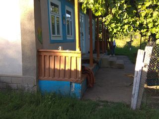Urgent urgent casa in satul Braviceni r-ul Orhei. foto 3