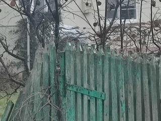 Apartament cu 3 camere,  Paminteni,  Bălți,  Bălți mun. foto 7
