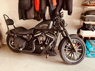 Harley - Davidson Iron 883