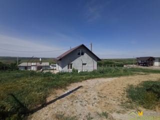 Teren agricol 83 ari cu casa noua in zona ecologica foto 9