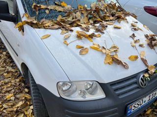 Volkswagen Caddy foto 2