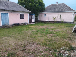 Сдается посуточно два дома в живописном селе Наславча Окницкого района foto 2