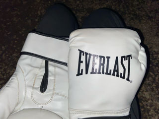 Mănuși Everlast