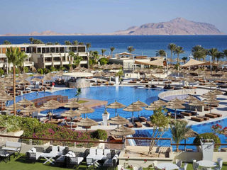 Шарм Эль Шейх! Отель "Coral Sea Imperial Sensatori Resort 5*" Вылет 29.11.2024 foto 2