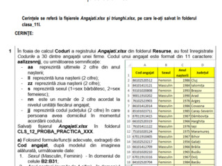 Fac lucrari/evaluari/teste la TIC/Informatica (Word/Excel/Powerpoint/Access) foto 8