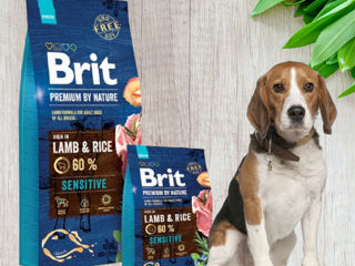 Brit Premium Sensitive с ягненком для взрослых собак с доставкой фото 1