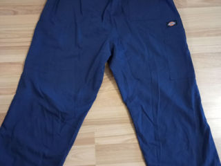 Pantaloni dickies