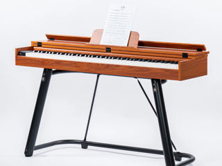 Цифровое пианино Divers D886 Cover Wood Brown (Новые, Гарантия, Рассрочка. Бесплатная доставка) foto 5