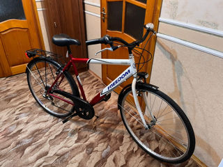 Vind Bicicleta Freedom foto 2