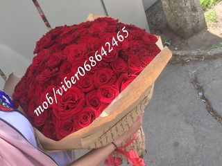 Super oferta 101 trandafiri 899 lei! foto 9
