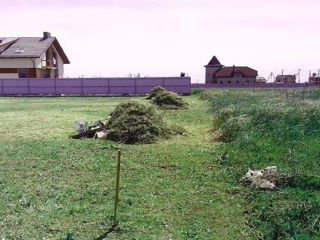 Curățenie la vilă. Сurățenie în ogradă dvs, curățenie în curte,tăierea ierbii si buruianului foto 1