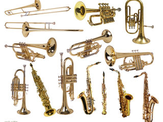 Aducem Saxofoane/Trompete la comanda de la Thomann. Termeni de livrare de la 3-10 zile!