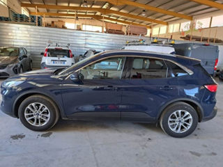 Ford Kuga foto 3