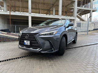 Lexus NX Series foto 3