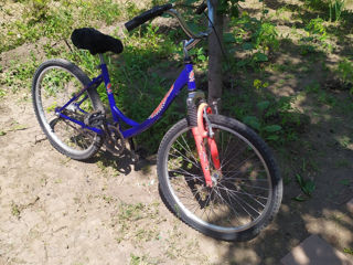 Bicicletă Pegasus. foto 3