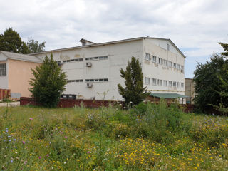 În chirie fabrica din Soldănești foto 2