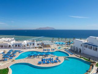 Шарм-эль-Шейх, Египет сеть отелей Albatros Hotels  осенние каникулы в Египте foto 9