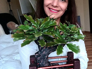 Vip cadou pentru barbati:iubit,tata,sef...Bonsai stejar din argila polimerica.. foto 1