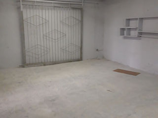 Chirie 160 m2