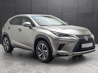 Lexus NX Series