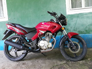 Viper MAX 200cc foto 5