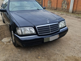 grile mercedes w140 w210 w211 w220