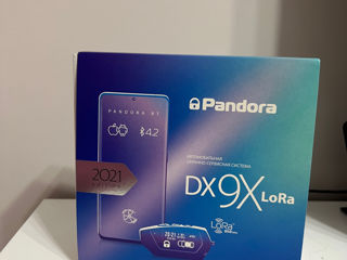 Pandora Dx 9X Lora foto 1