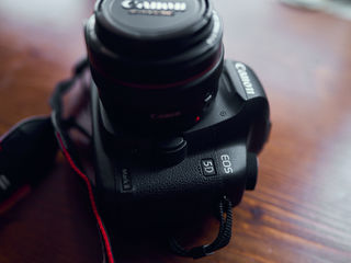 Canon 5D Mark || & canon EF50mm f1.4 foto 3