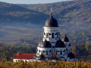Pelerinaje la 11 Manastiri din Moldova-2024, 25 de Oferte, 1 Zi, zilnic, de la 5-6 la 55 pers foto 6