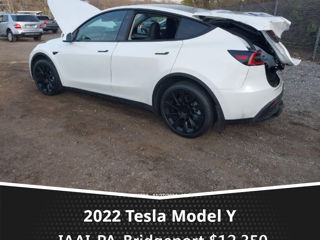 Tesla Model Y foto 4