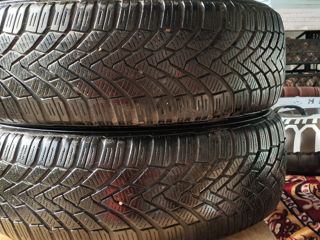 Continental 195/65  R15