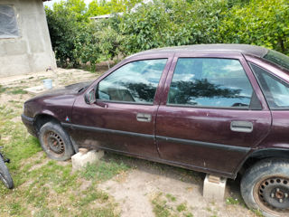 Opel Vectra фото 1