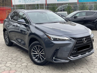 Lexus NX Series foto 5