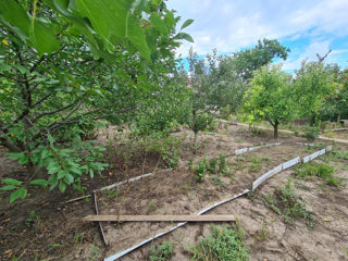 Casuta de vara -  livada - zona ecologica foto 8