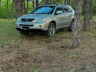 Lexus RX Series