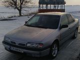 Nissan Primera foto 1