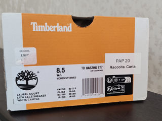 Кроссовки Timberland, новые foto 5