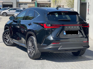 Lexus NX Series foto 3