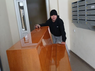 Грузчики   foto 1