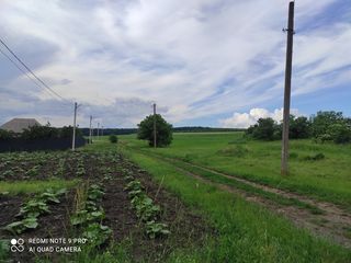 Продаём участок под строительство в 20 соток в с. Иванча Оргеевского р-на. Цена: 15500 евро. foto 6