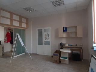 oficii centru 2 nevele / офис в центре 2 уровня foto 2