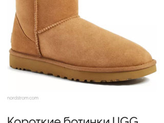 UGG оригинал foto 5