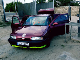 Nissan Primera foto 2