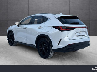 Lexus NX Series foto 7