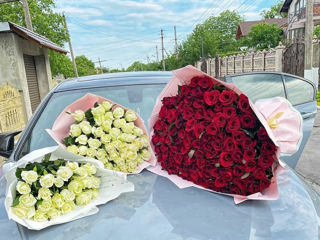Trandafiri şi baloane cu gelii. Livrare Moldova.