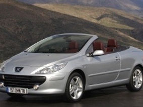 Vind piese Peugeot 307