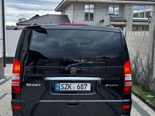 Mercedes Viano foto 9