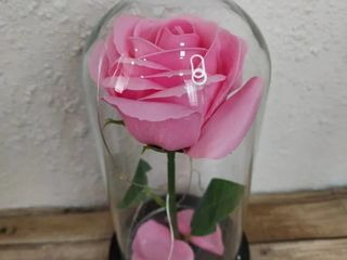 Роза в колбе  trandafir veșnic foto 1